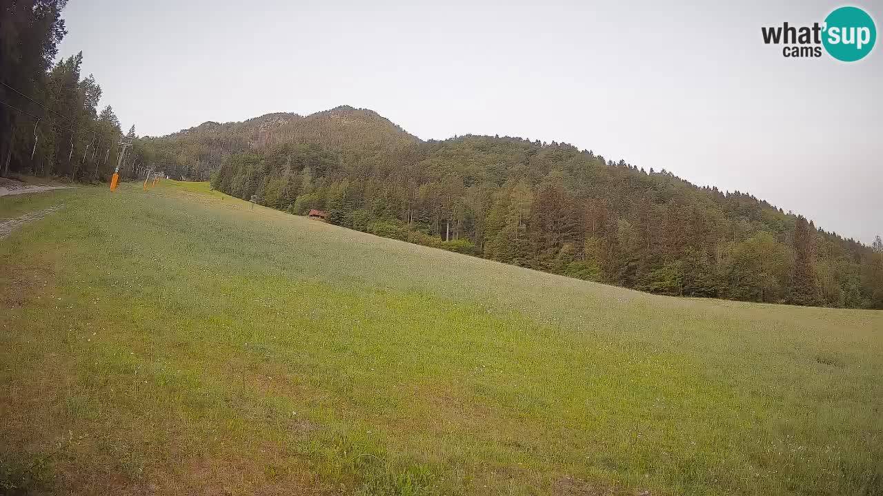 Esquí Kranjska Gora | Brsnina