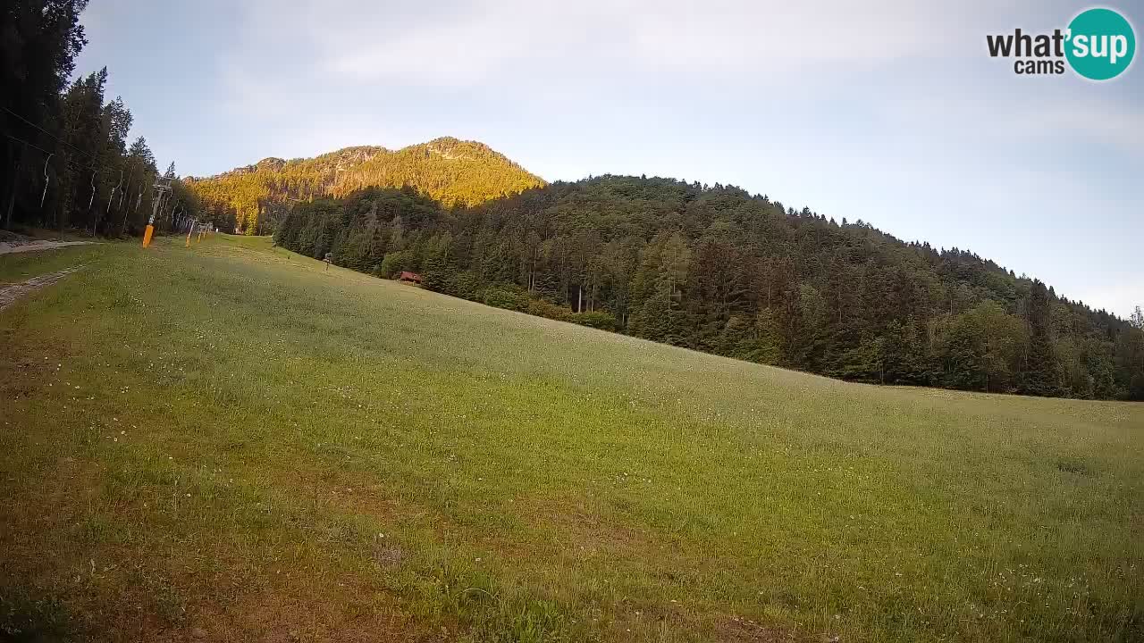 Comprensorio sciistico Kranjska Gora | Brsnina