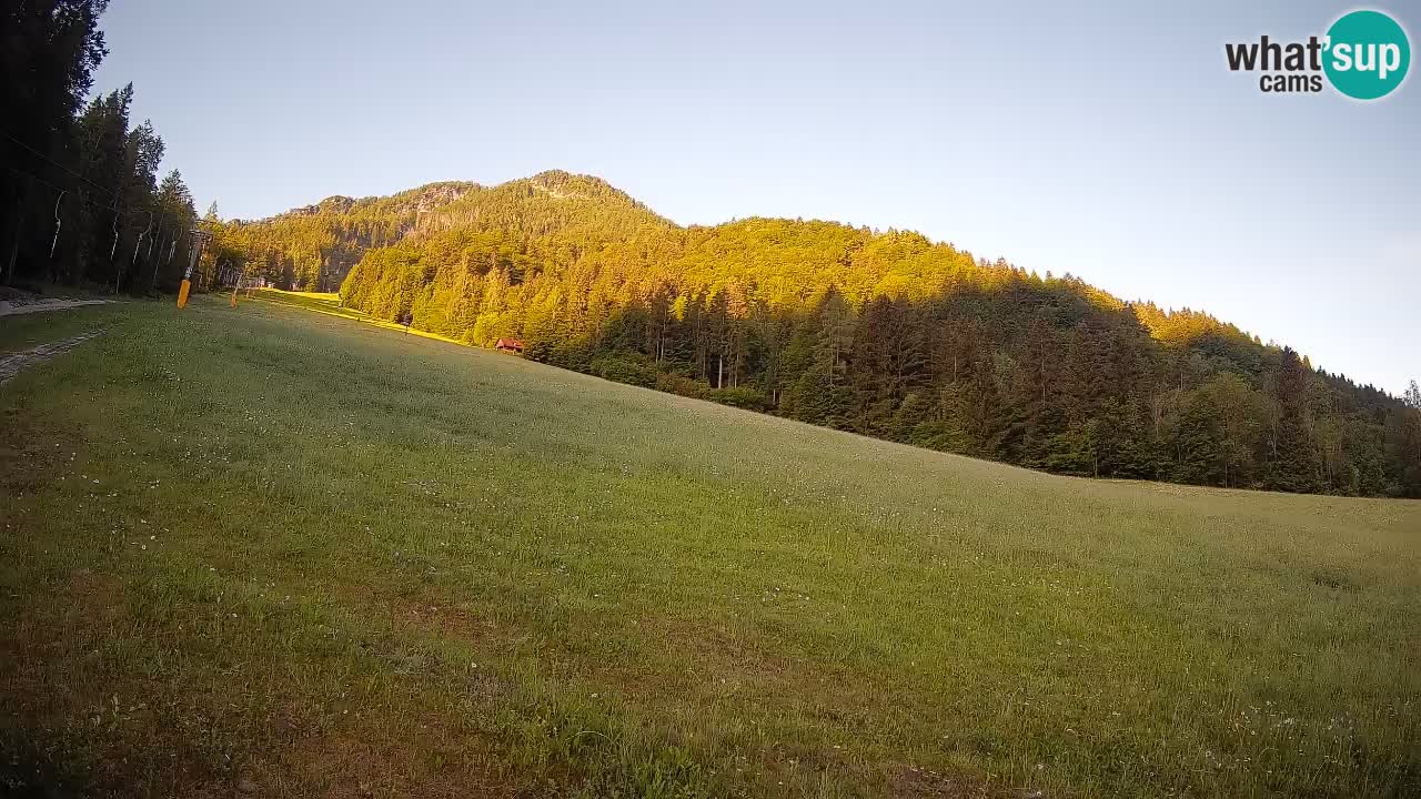 RTC Kranjska Gora | Brsnina