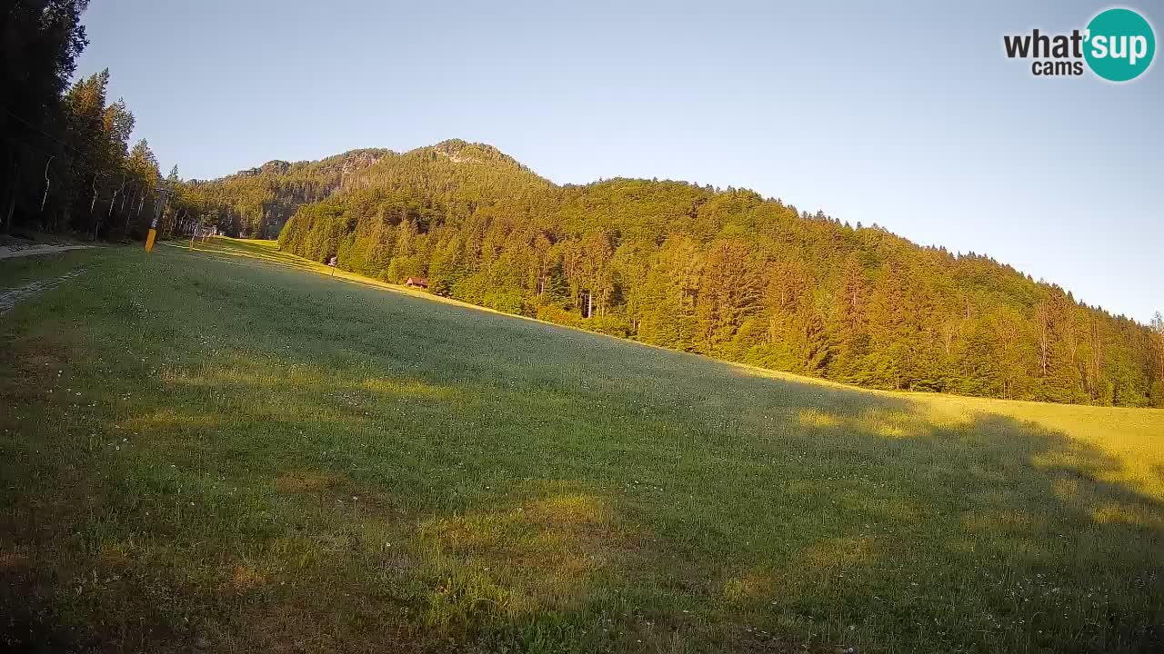 RTC Skigebiet Kranjska Gora | Brsnina