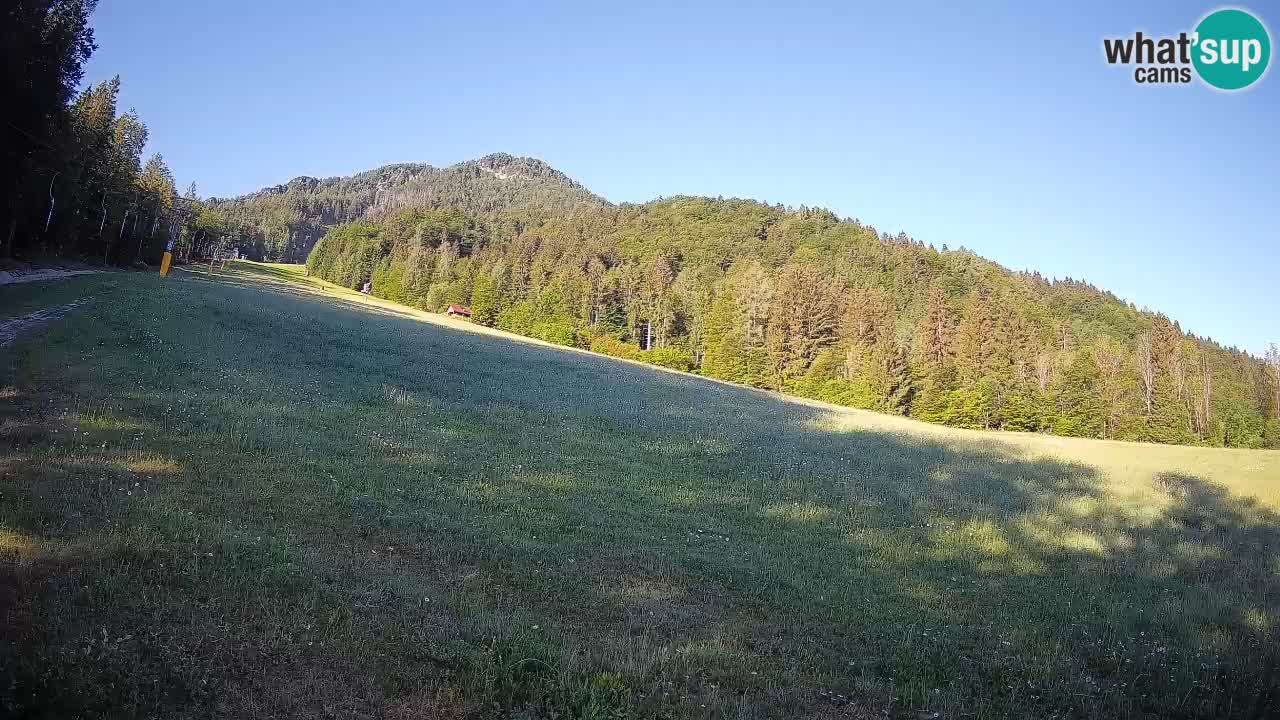 Esquí Kranjska Gora | Brsnina