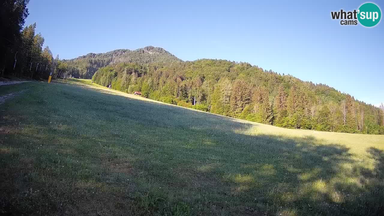 Comprensorio sciistico Kranjska Gora | Brsnina