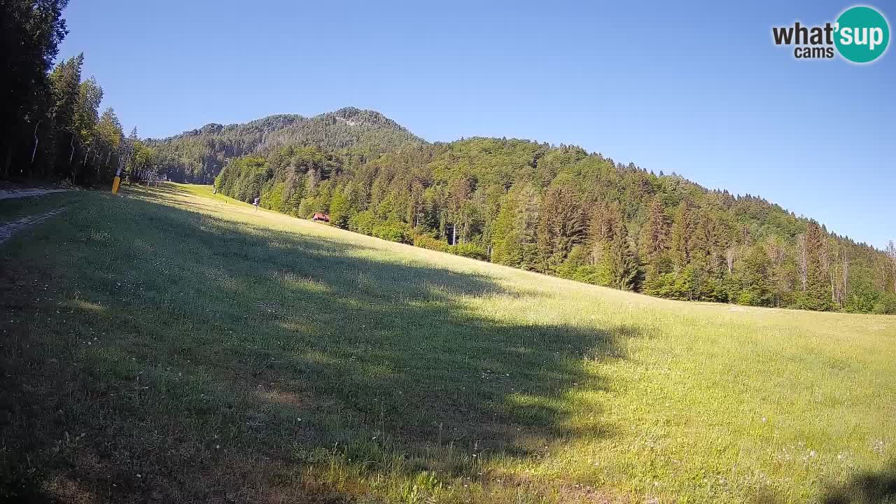 Esquí Kranjska Gora | Brsnina