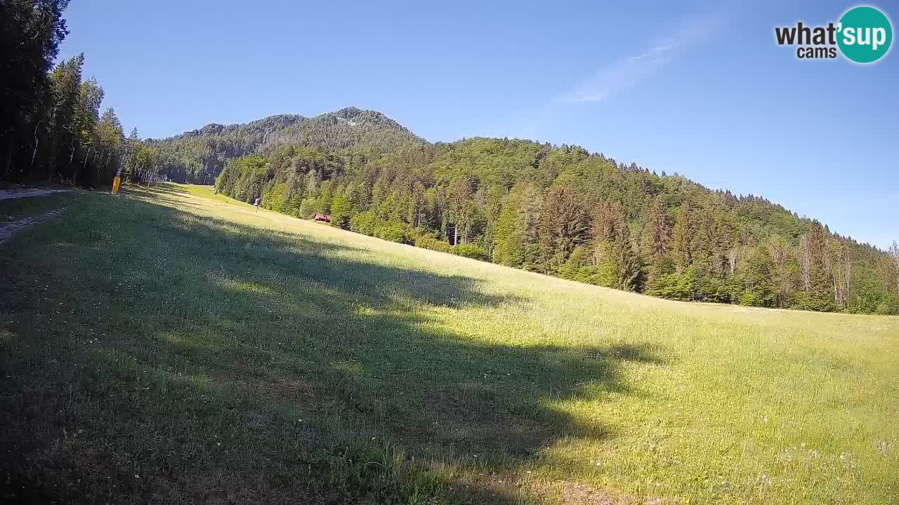 RTC Kranjska Gora | Brsnina