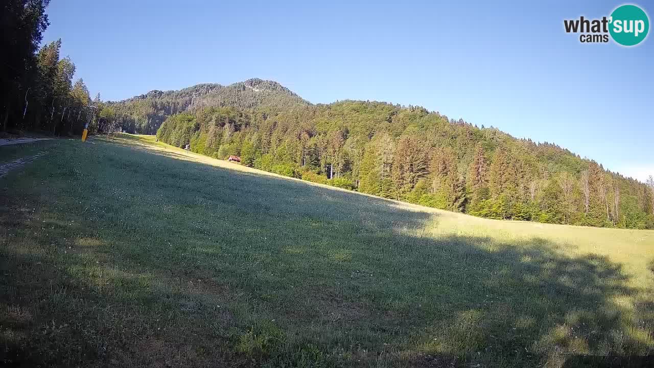 Esquí Kranjska Gora | Brsnina
