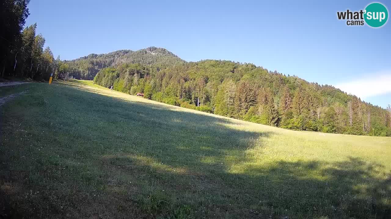 Kranjska Gora Station de ski | Brsnina