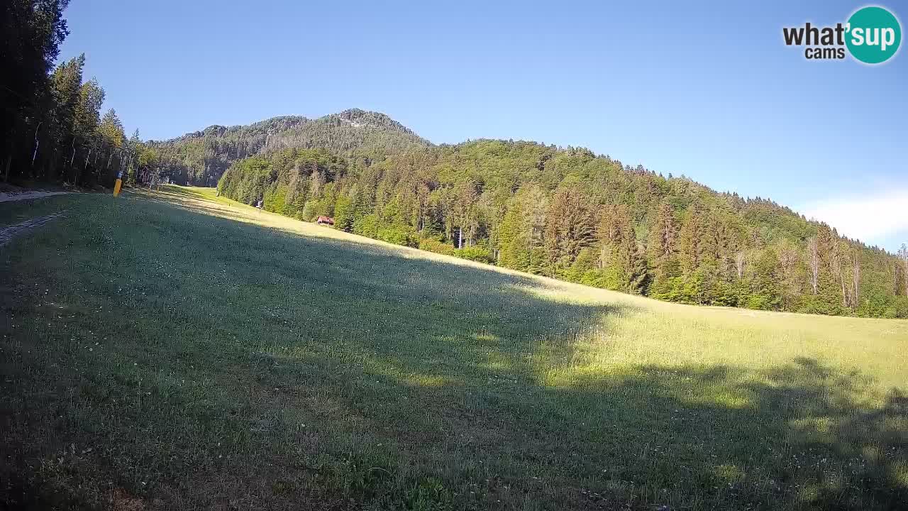 RTC Kranjska Gora | Brsnina