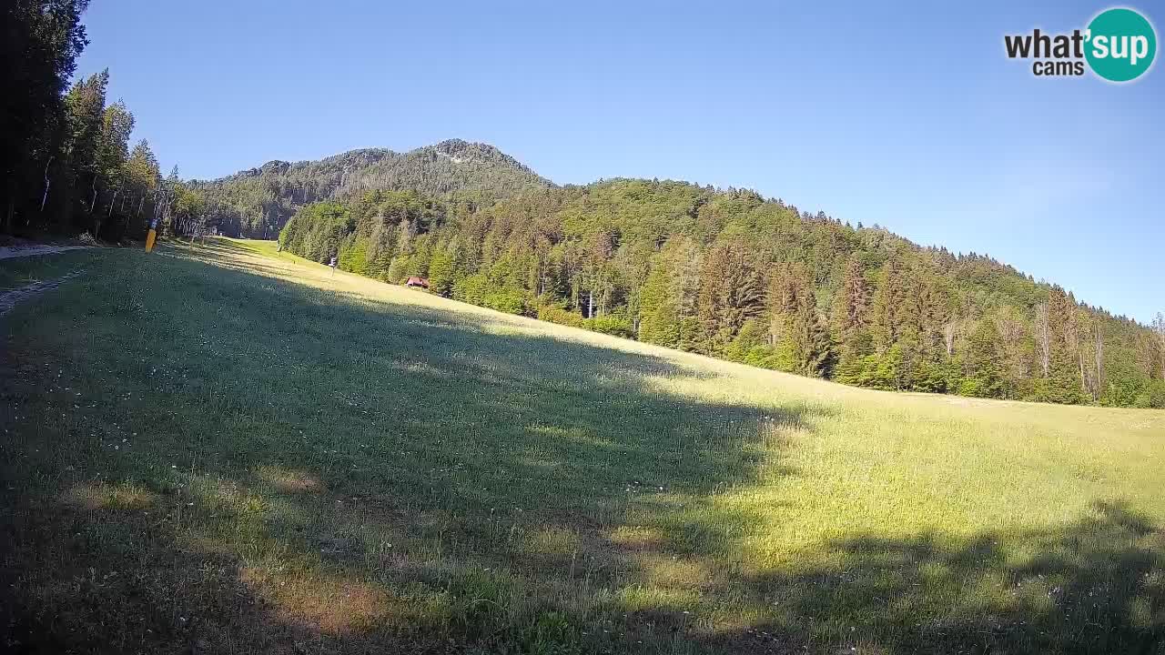 Comprensorio sciistico Kranjska Gora | Brsnina