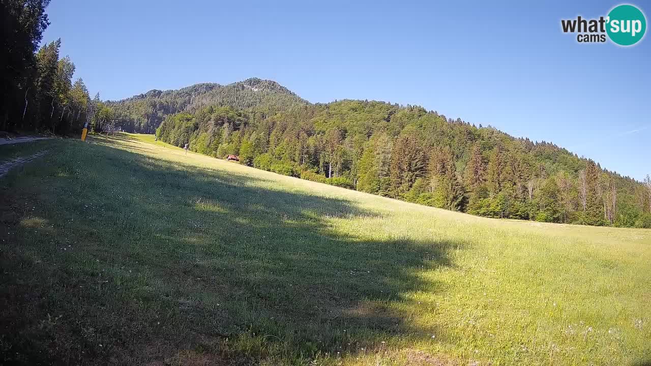 Ski Kranjska Gora | Brsnina