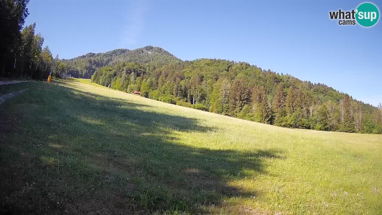 RTC Kranjska Gora | Brsnina