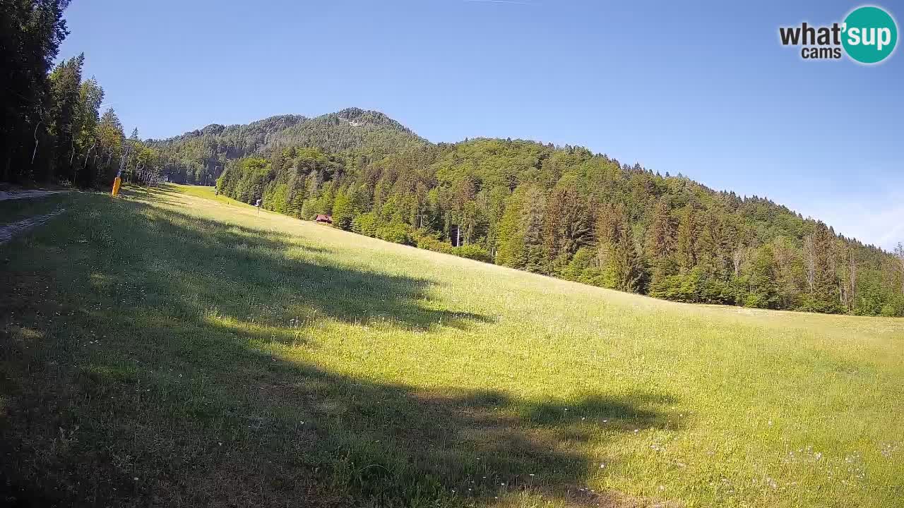 Ski Kranjska Gora | Brsnina