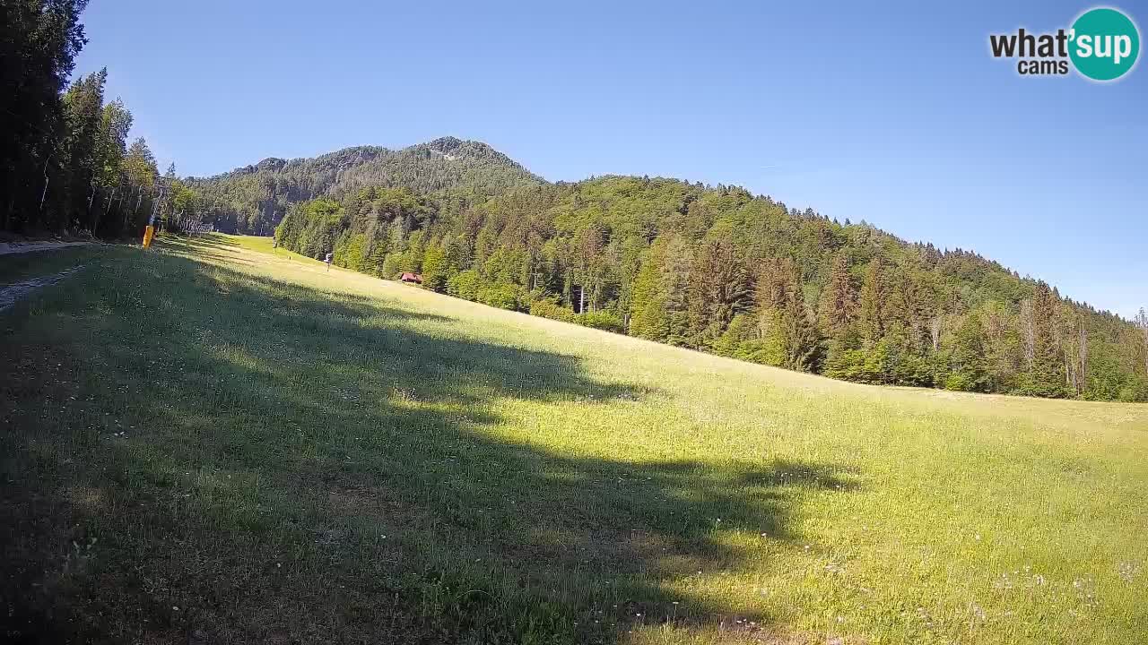 Kranjska Gora Station de ski | Brsnina