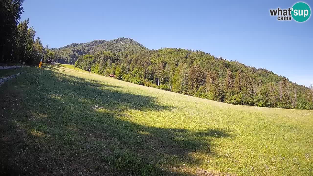 Esquí Kranjska Gora | Brsnina
