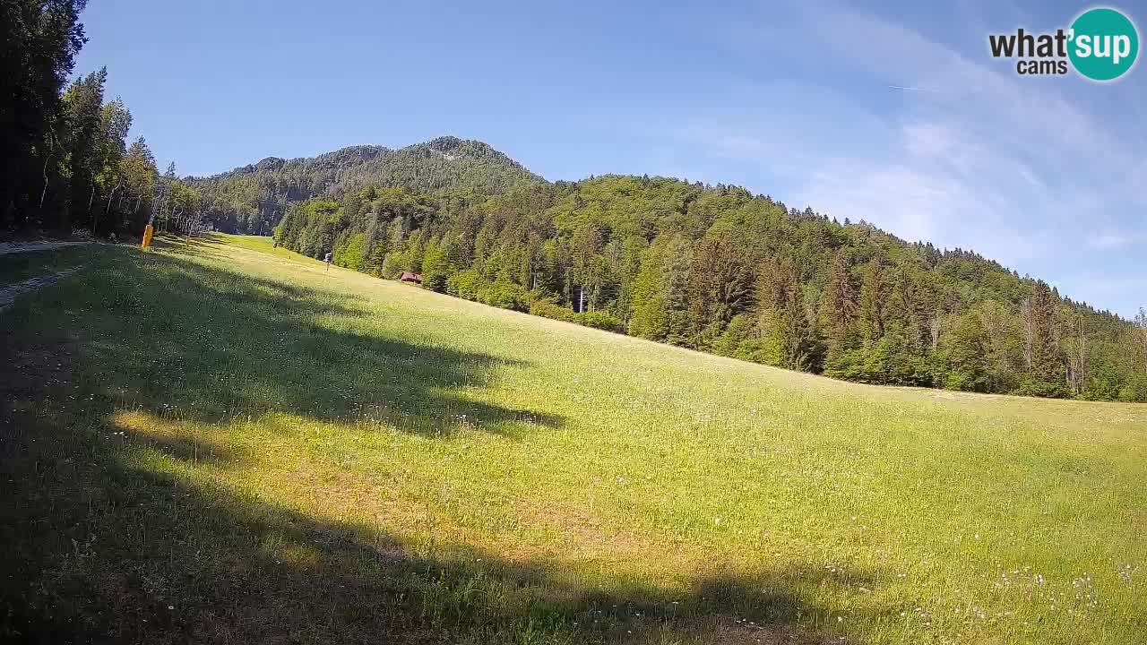 Ski Kranjska Gora | Brsnina