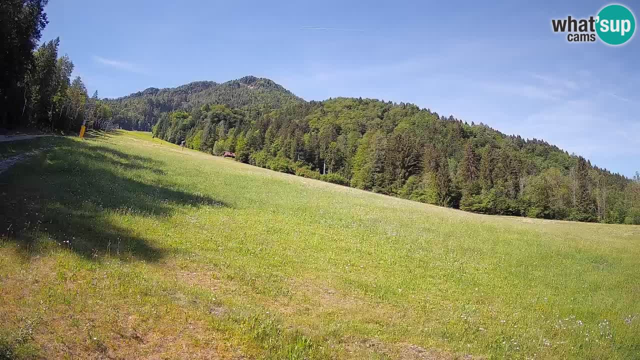 Ski Kranjska Gora | Brsnina
