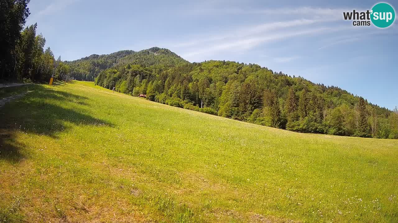 Esquí Kranjska Gora | Brsnina