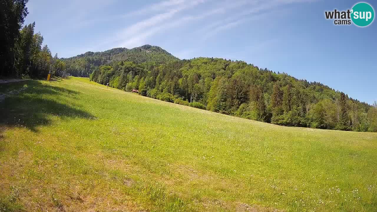 Esquí Kranjska Gora | Brsnina