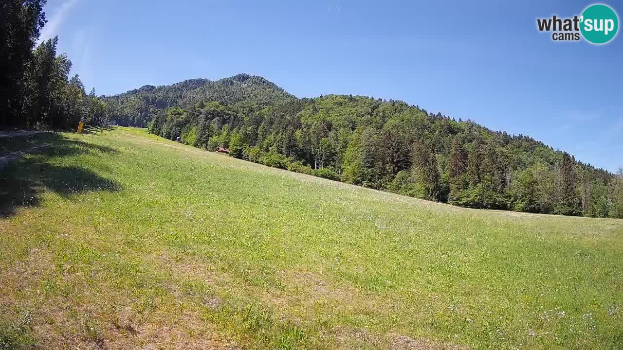 RTC Skigebiet Kranjska Gora | Brsnina