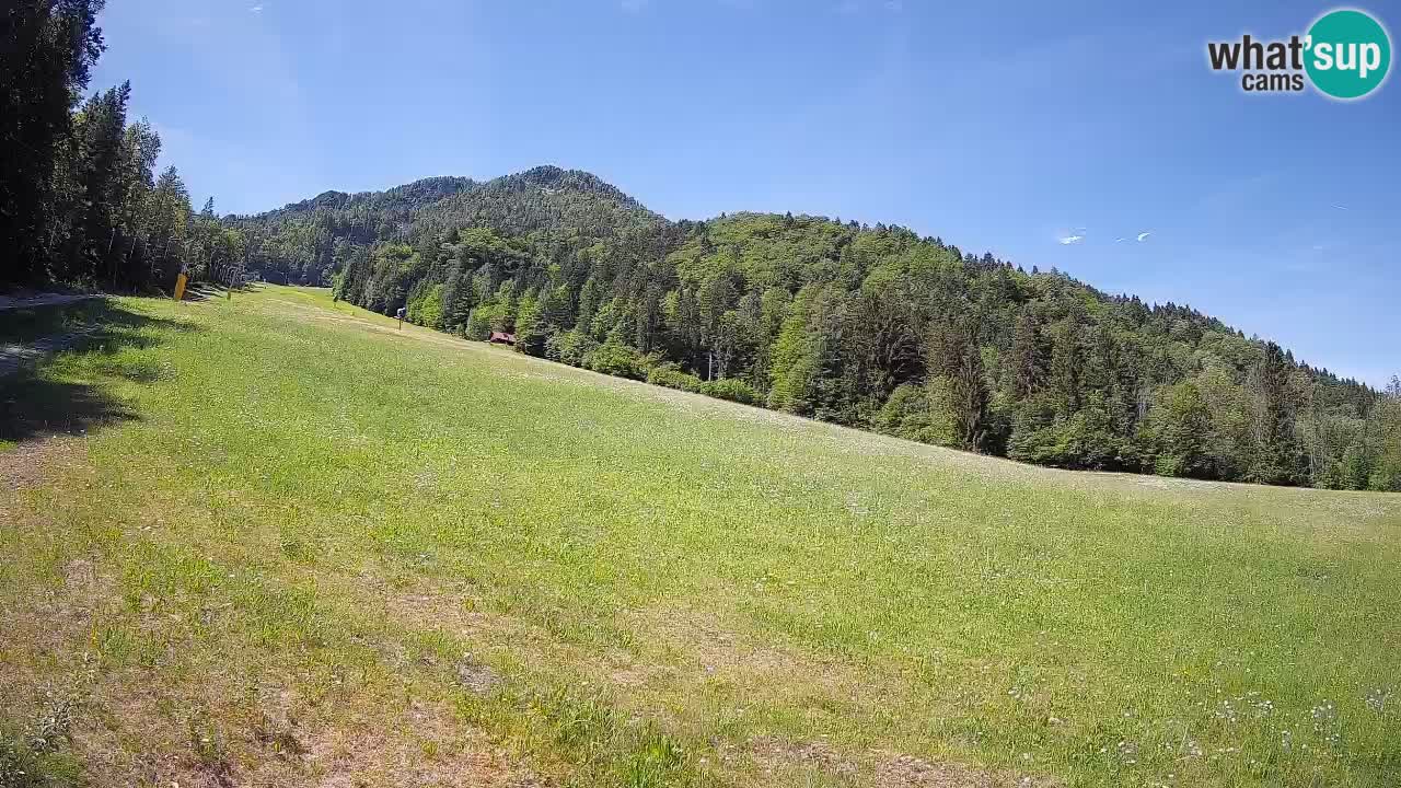 Ski Kranjska Gora | Brsnina
