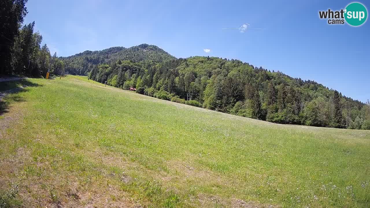 RTC Skigebiet Kranjska Gora | Brsnina