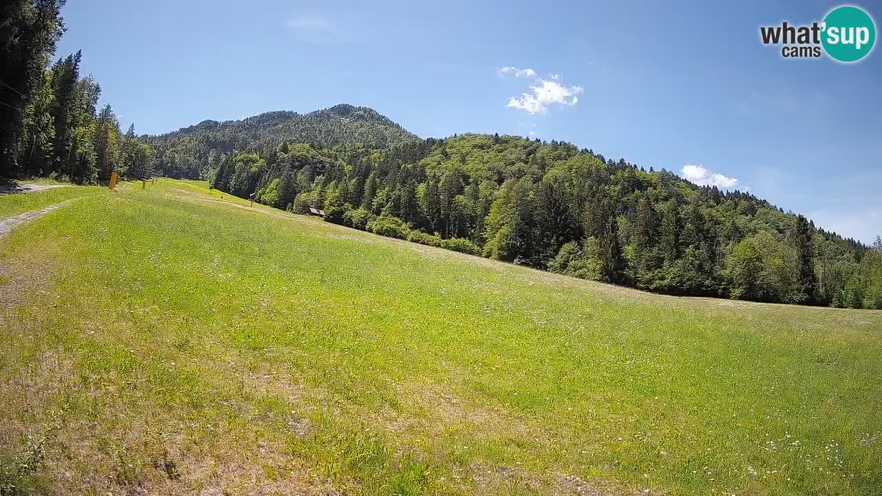 Ski Kranjska Gora | Brsnina