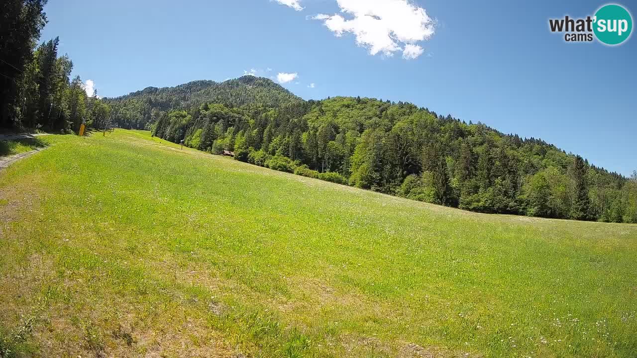 Ski Kranjska Gora | Brsnina