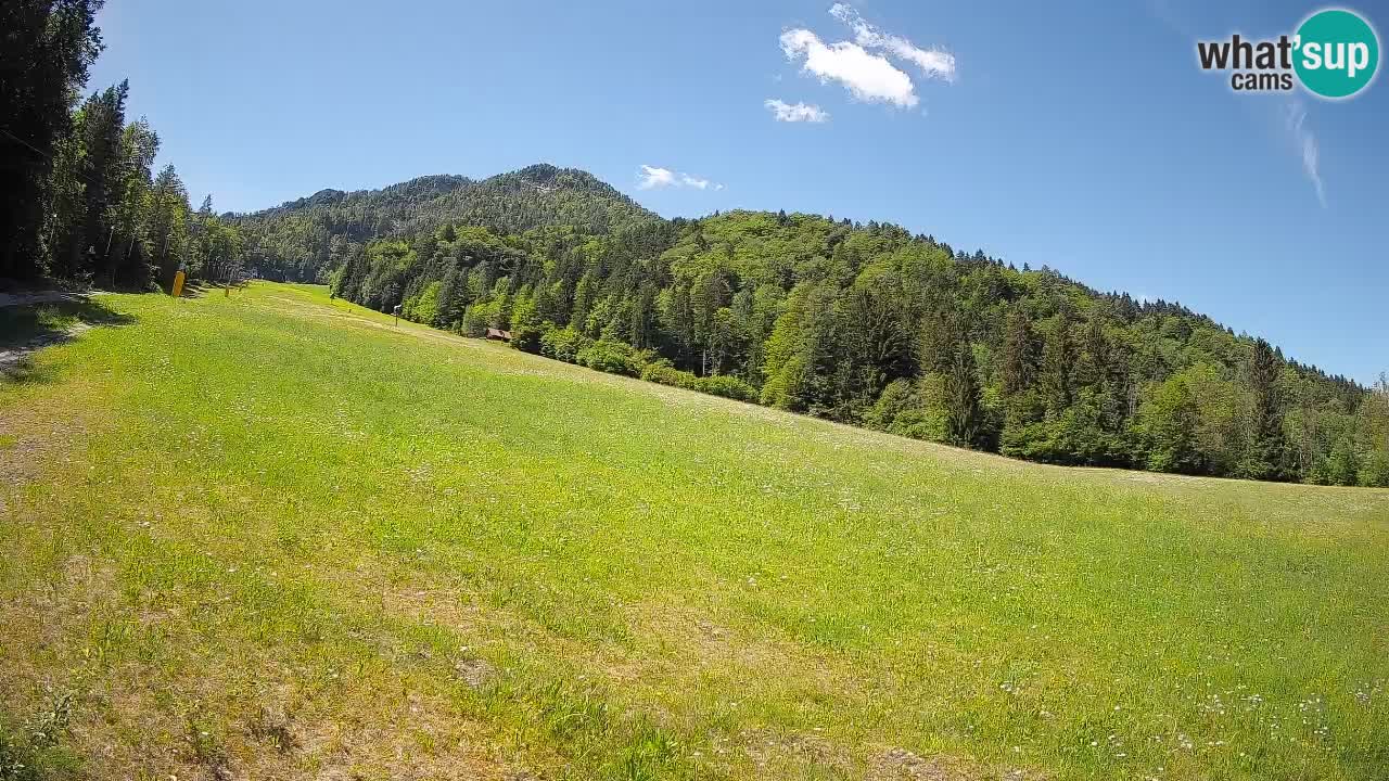 RTC Skigebiet Kranjska Gora | Brsnina