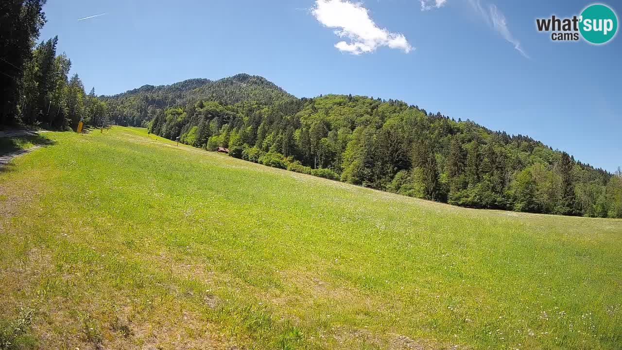 Esquí Kranjska Gora | Brsnina
