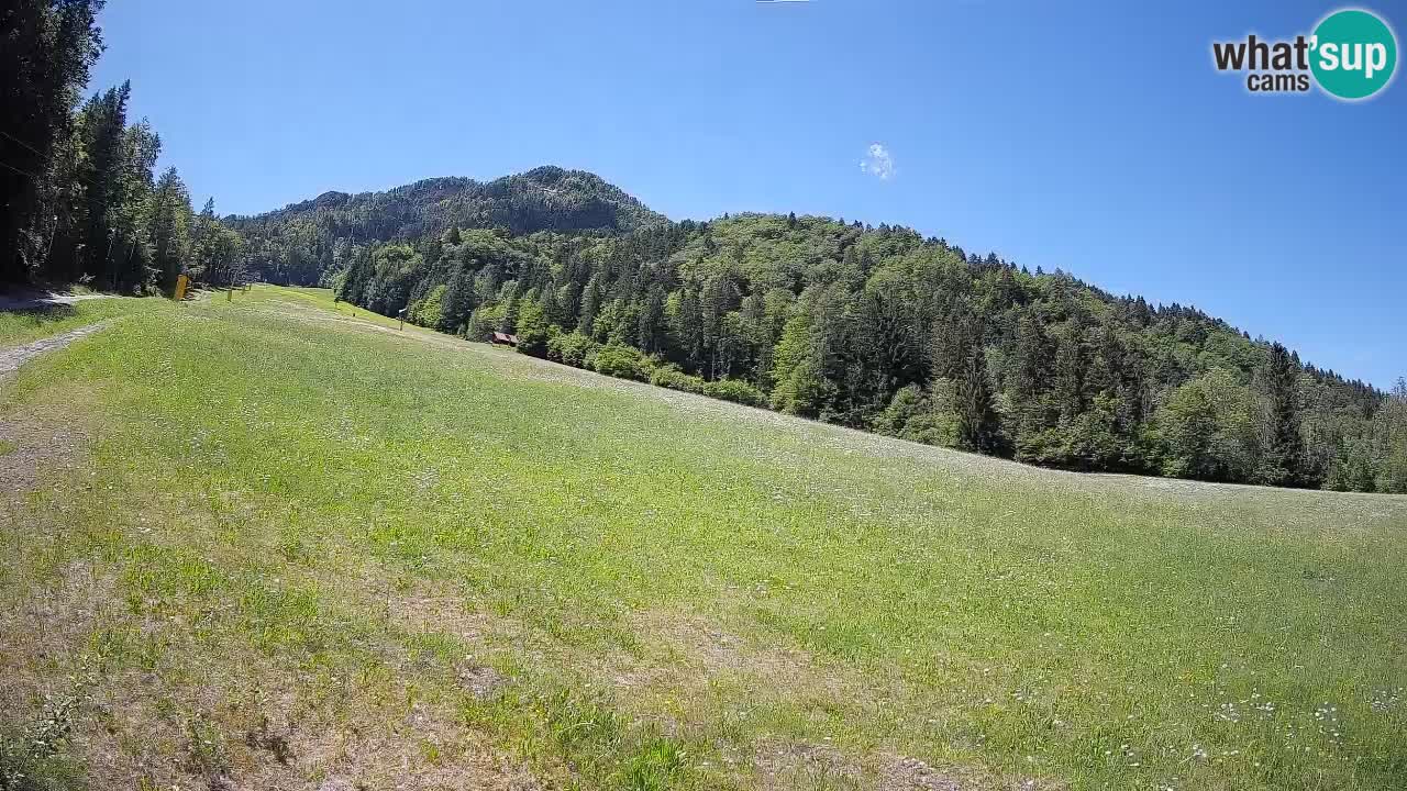Ski Kranjska Gora | Brsnina