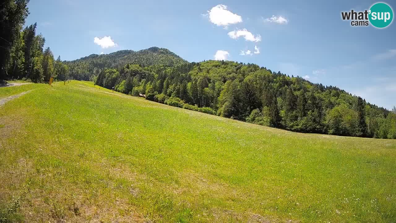 RTC Kranjska Gora | Brsnina