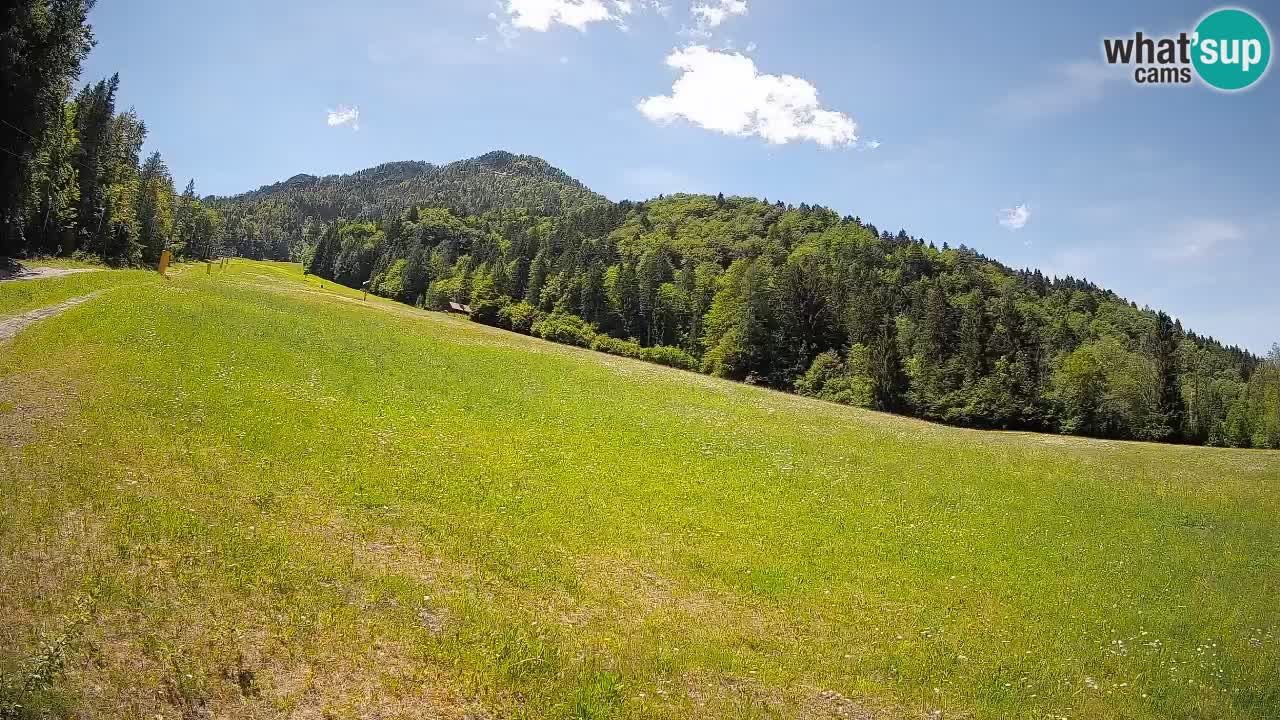 Kranjska Gora SKIJANJE | Brsnina