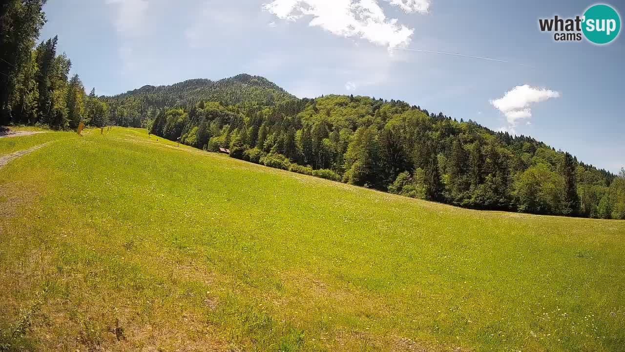 RTC Skigebiet Kranjska Gora | Brsnina