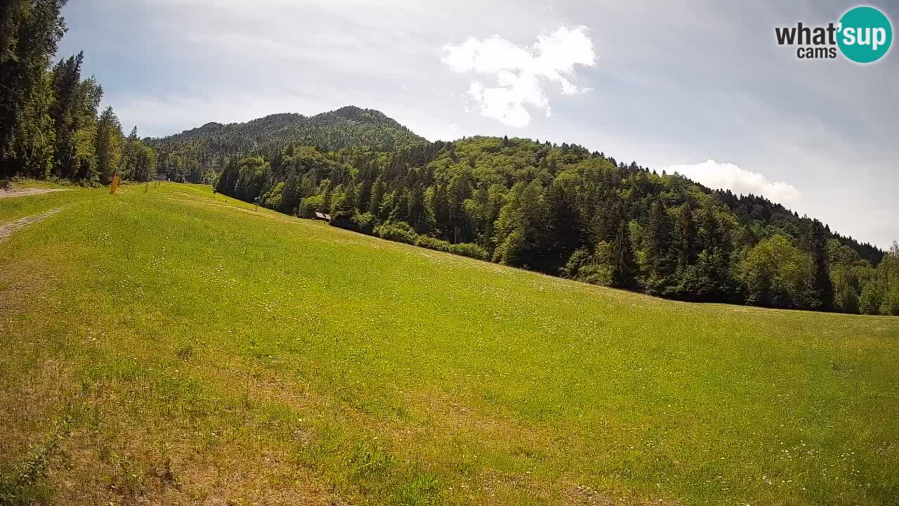 Kranjska Gora Station de ski | Brsnina