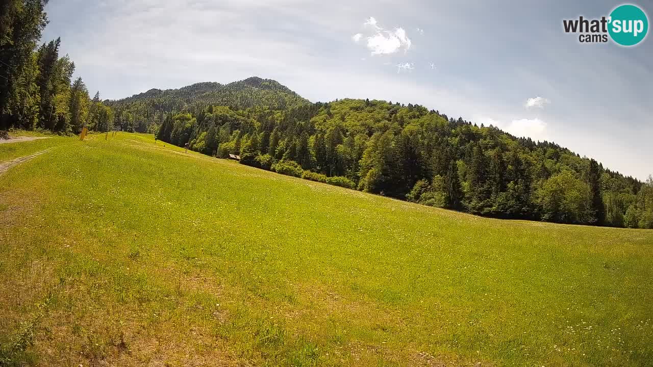 Kranjska Gora SKIJANJE | Brsnina
