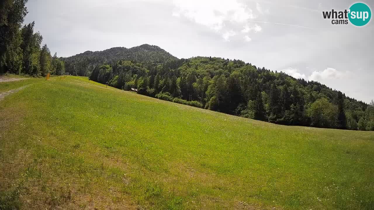 Kranjska Gora Station de ski | Brsnina