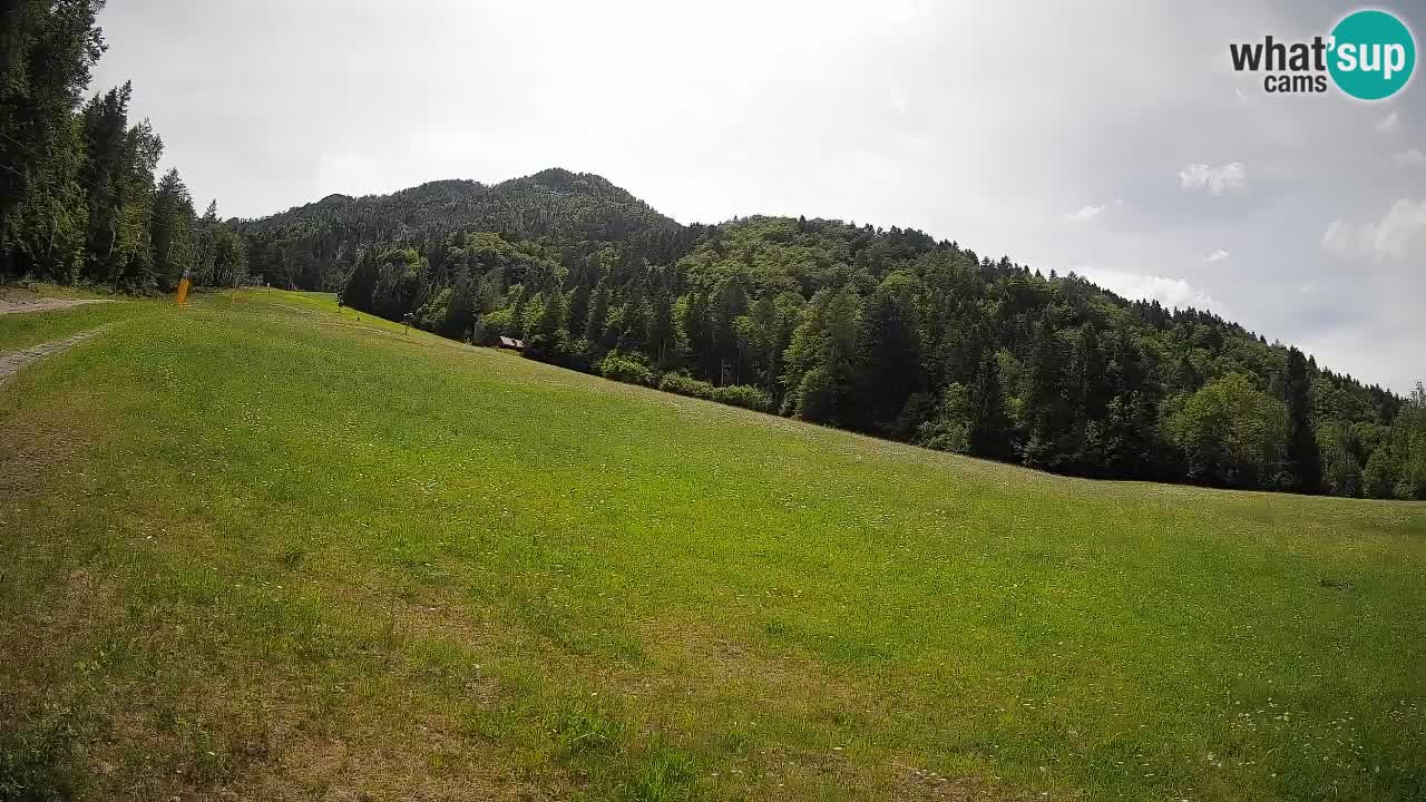 Kranjska Gora SKIJANJE | Brsnina