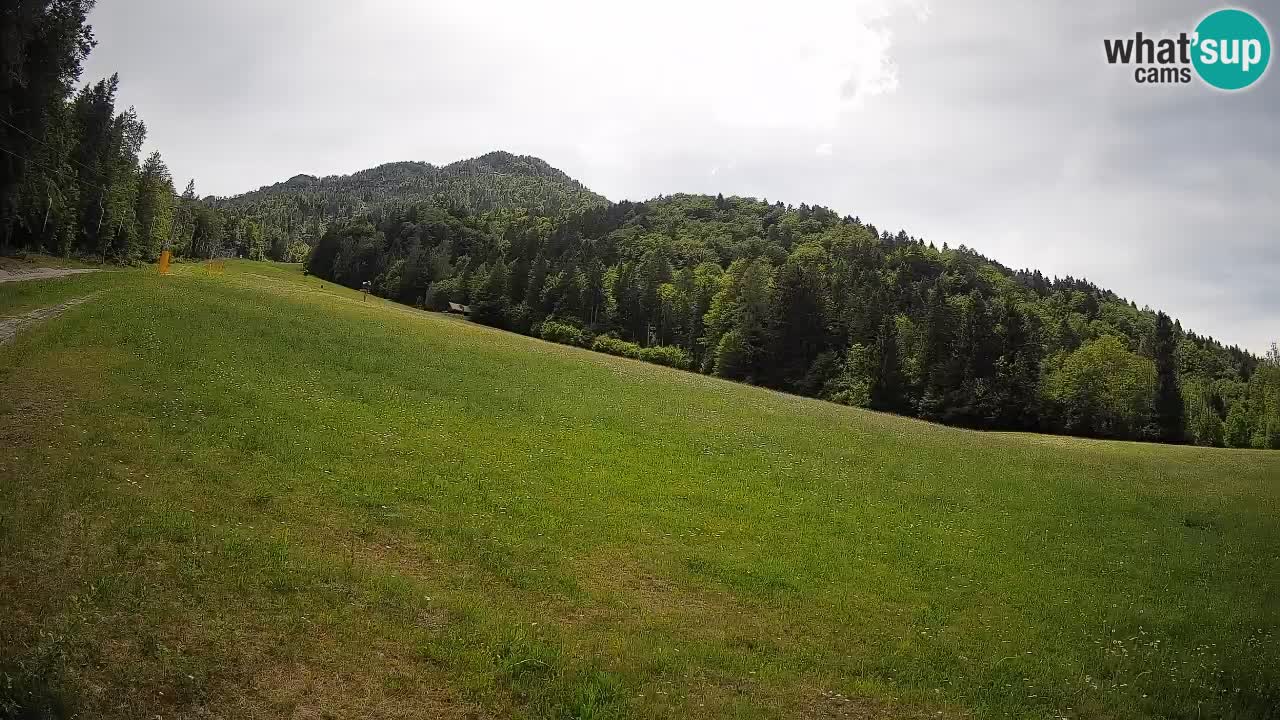 Kranjska Gora Station de ski | Brsnina