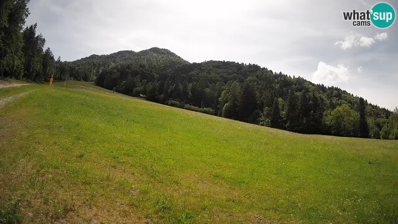 Kranjska Gora SKIJANJE | Brsnina