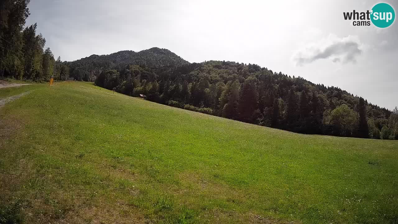 Kranjska Gora Station de ski | Brsnina
