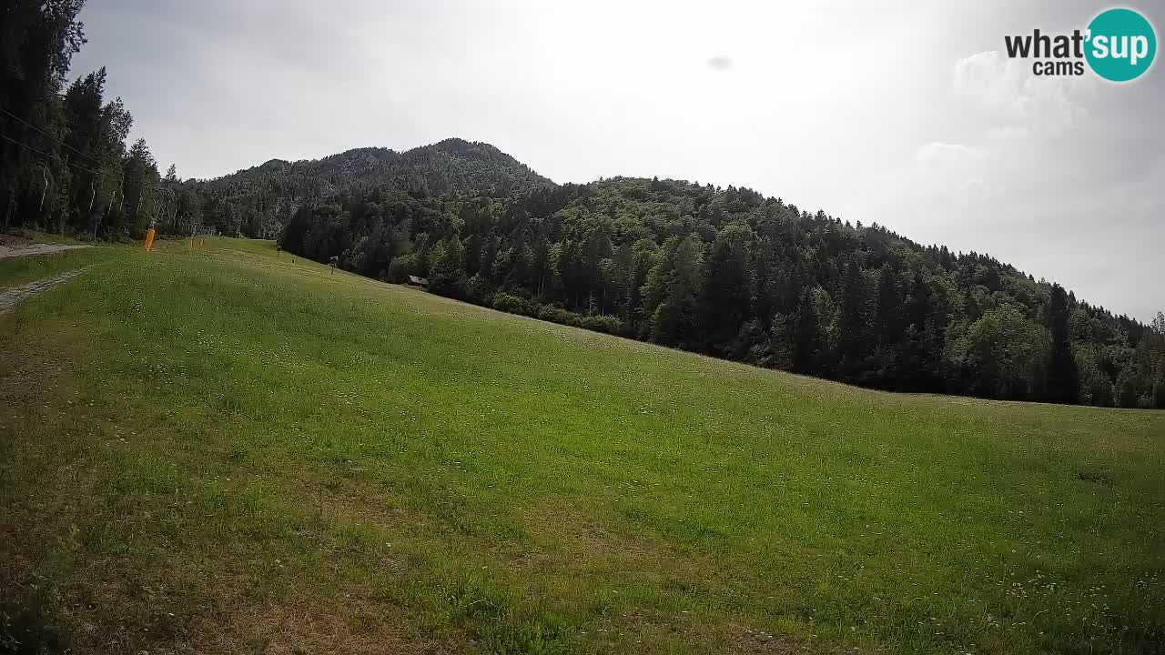 Kranjska Gora Station de ski | Brsnina