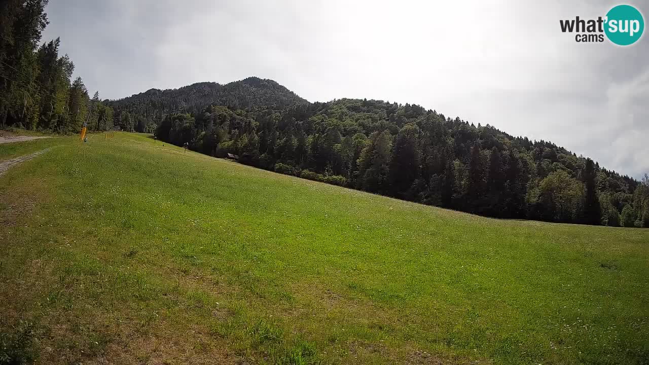 Comprensorio sciistico Kranjska Gora | Brsnina