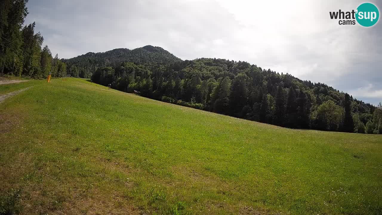 Kranjska Gora SKIJANJE | Brsnina