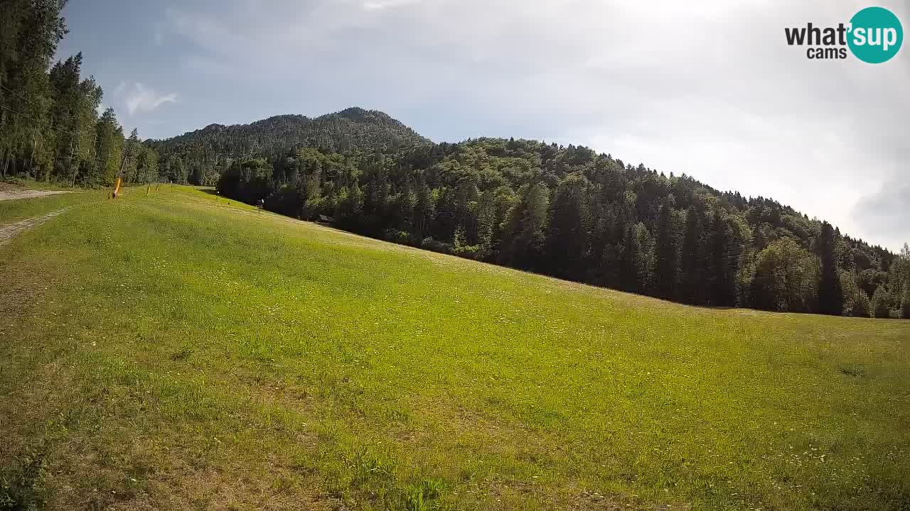 Comprensorio sciistico Kranjska Gora | Brsnina