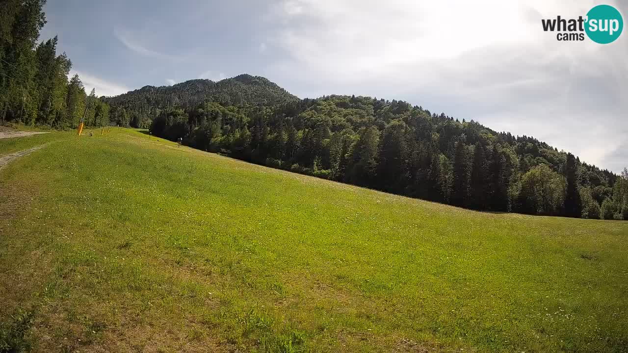 RTC Skigebiet Kranjska Gora | Brsnina