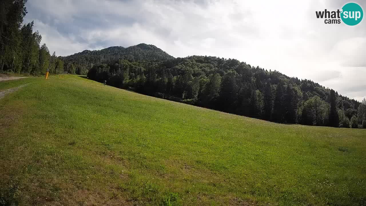 Esquí Kranjska Gora | Brsnina