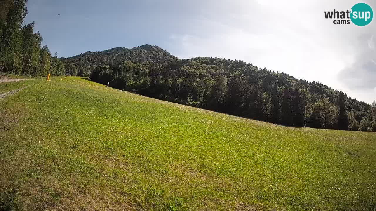 RTC Skigebiet Kranjska Gora | Brsnina