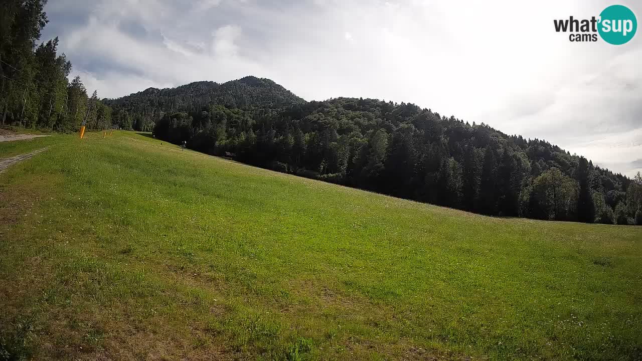 RTC Skigebiet Kranjska Gora | Brsnina