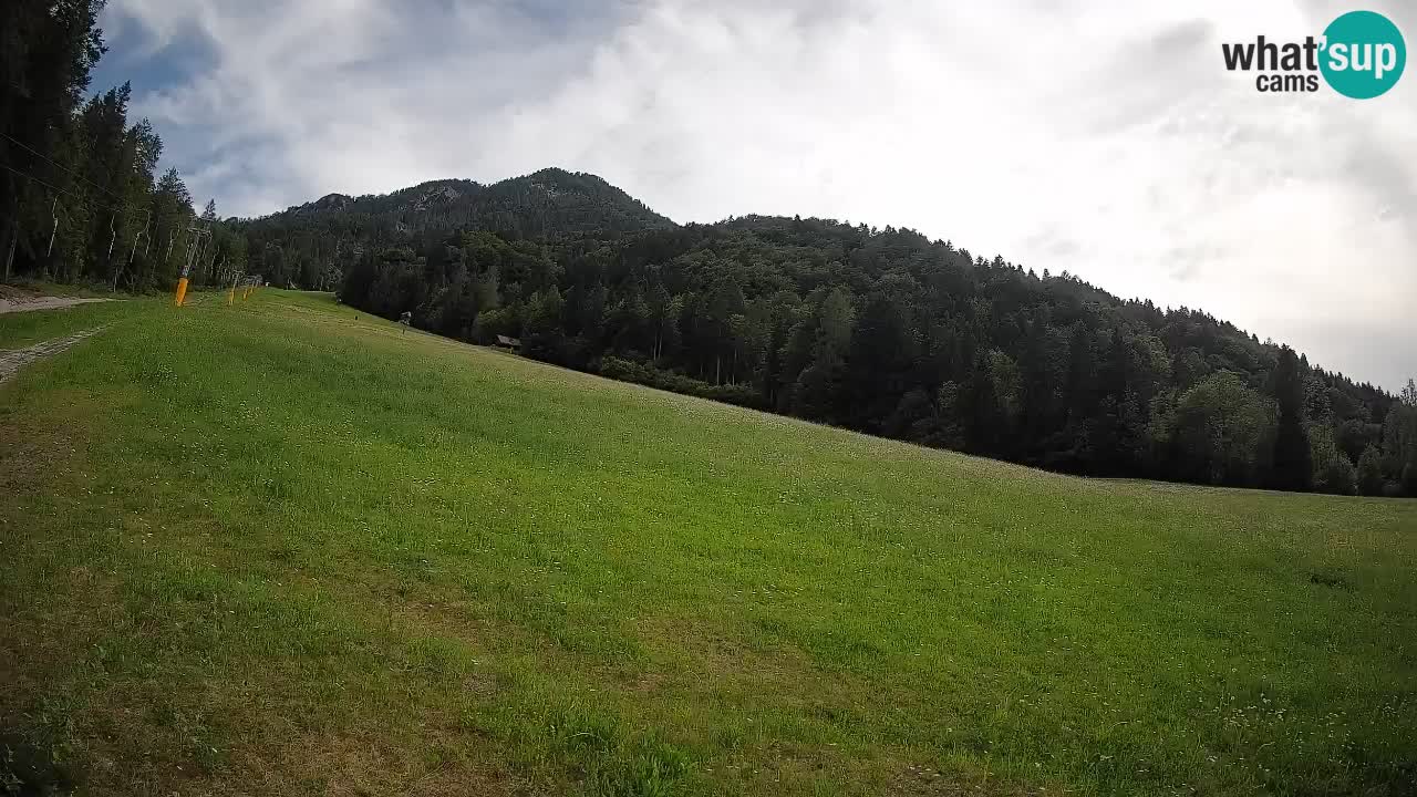 Comprensorio sciistico Kranjska Gora | Brsnina