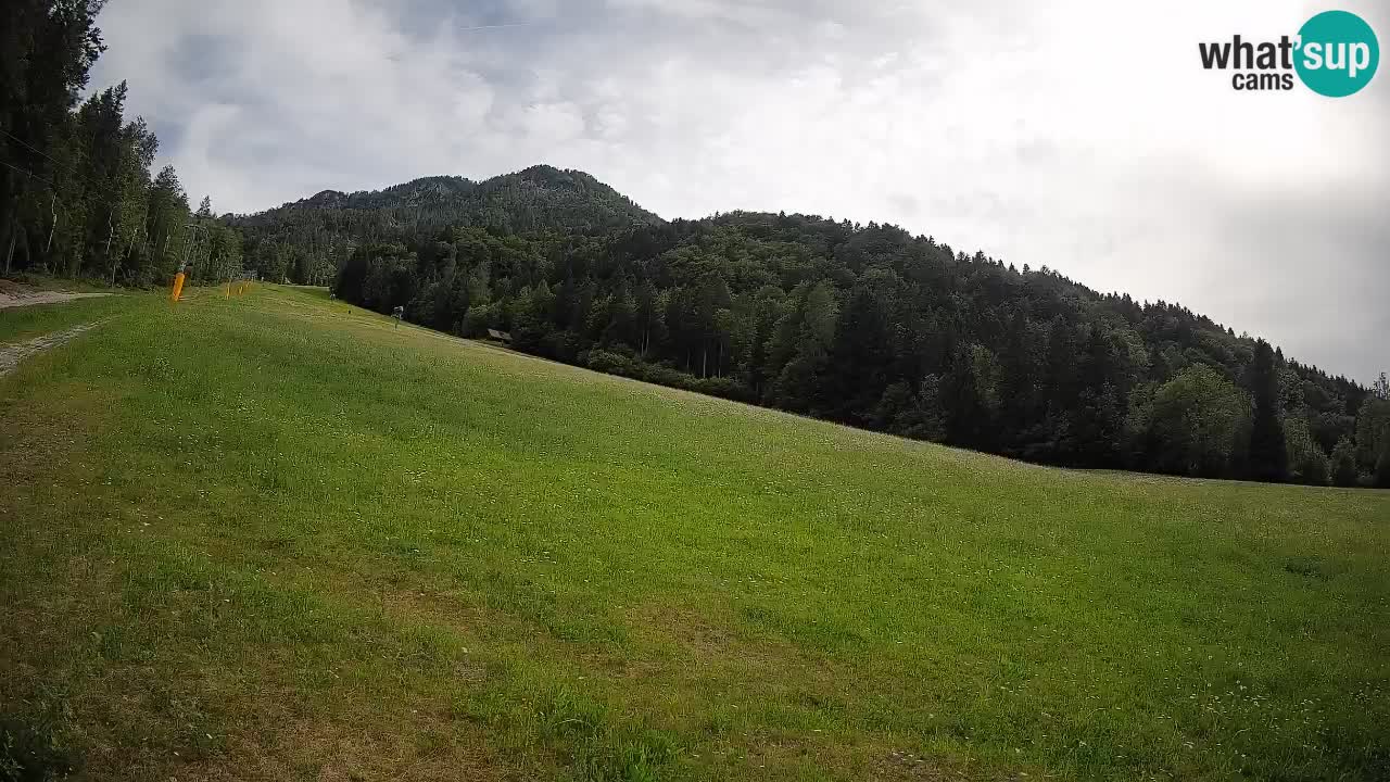 RTC Skigebiet Kranjska Gora | Brsnina