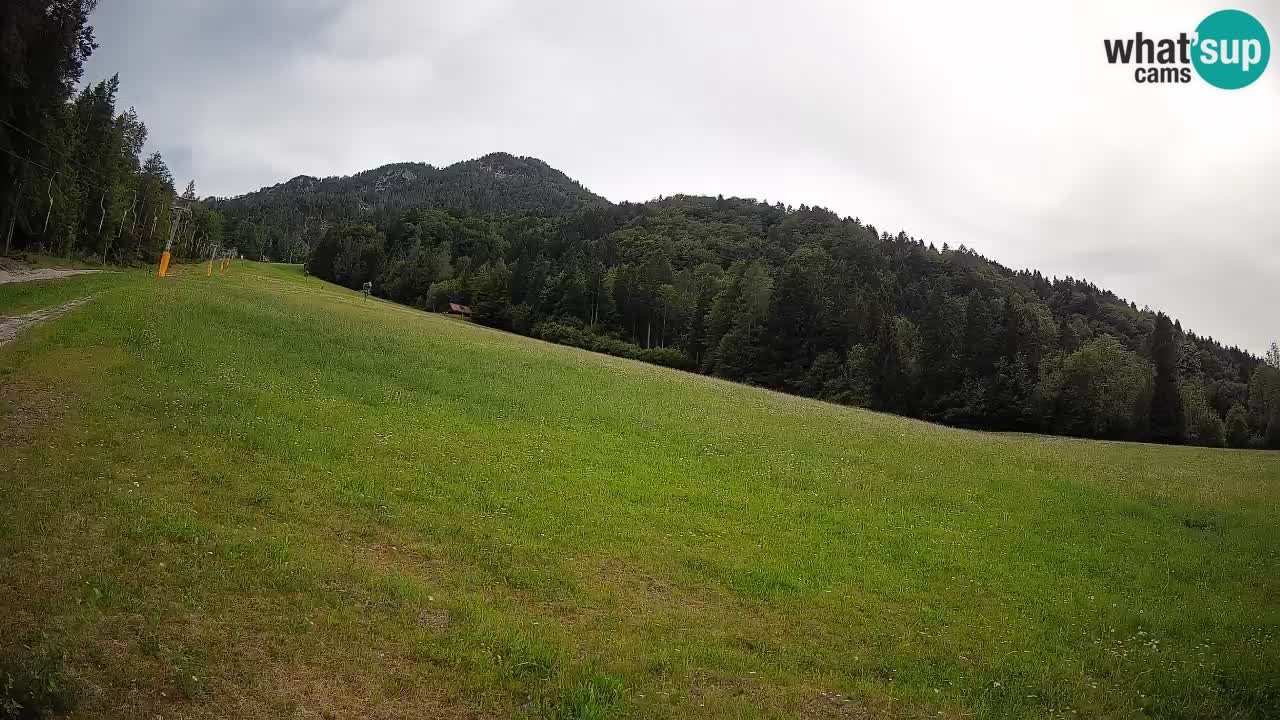 Esquí Kranjska Gora | Brsnina